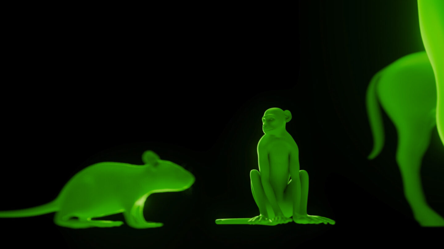 A decorative image representing patient avatars.