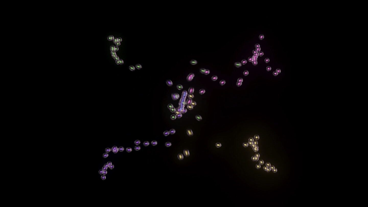 A decorative image representing Gordian Biotechnology.